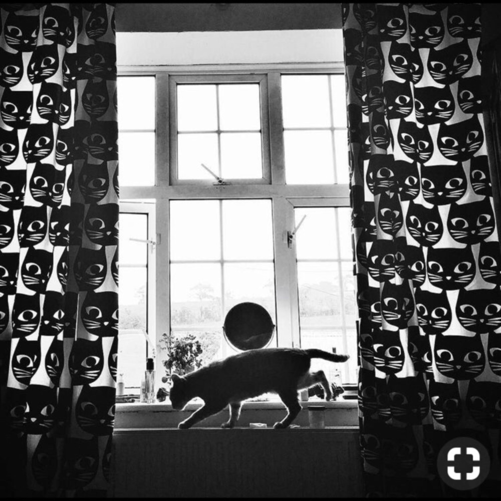 IKEA MATTRAM CAT Curtains Black And White Set of 2 Panels 57 x 98